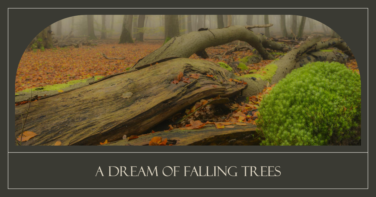 Dreams About Trees Falling Exploring the Subconscious